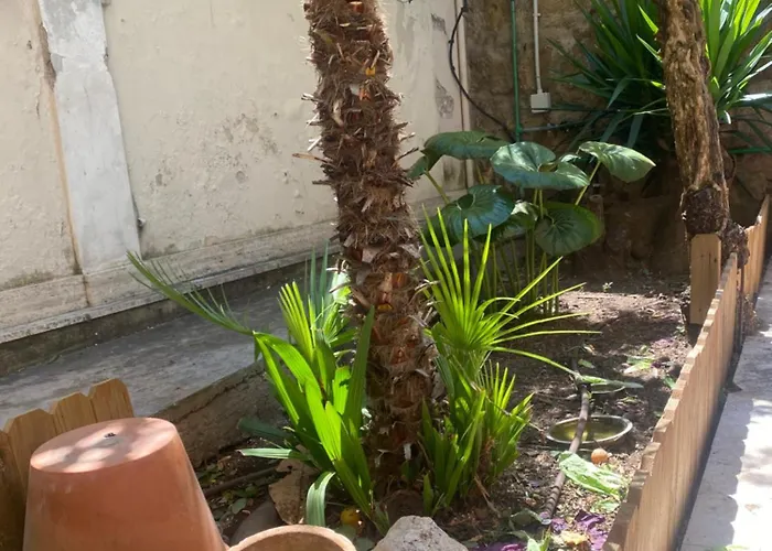 Abeti's House * Rome